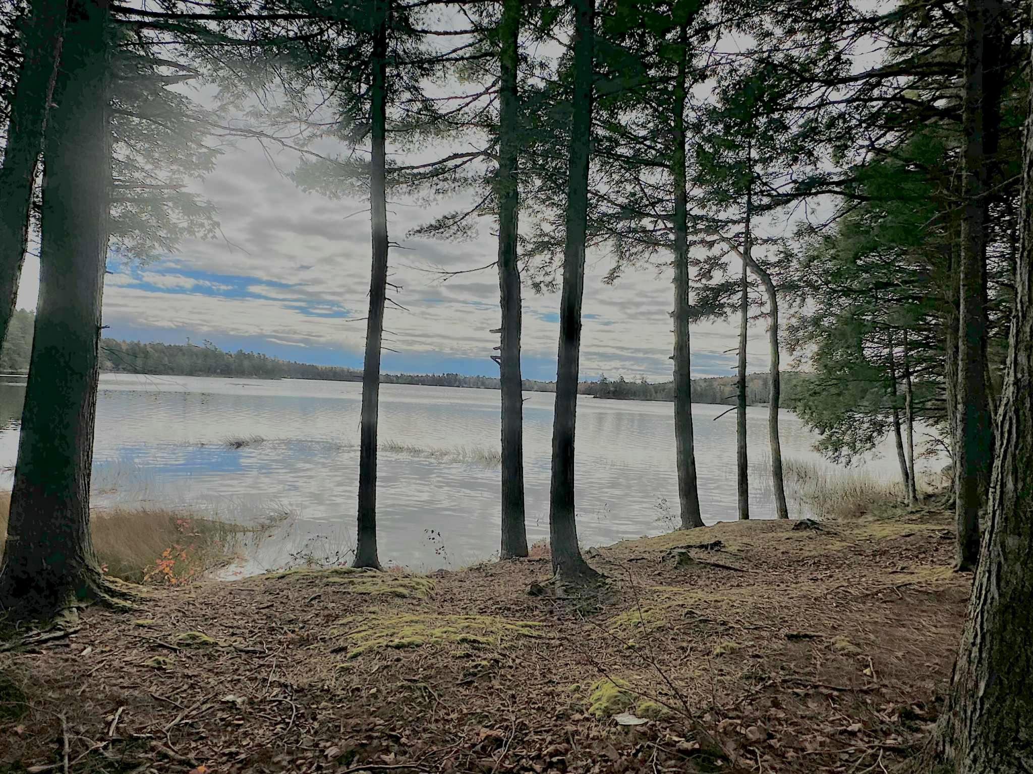 10 Hemlock Point Northfield, ME 04654 - Photo 12 of 31 18ea78d8-7b64-4d11-b716-99eb7718e759