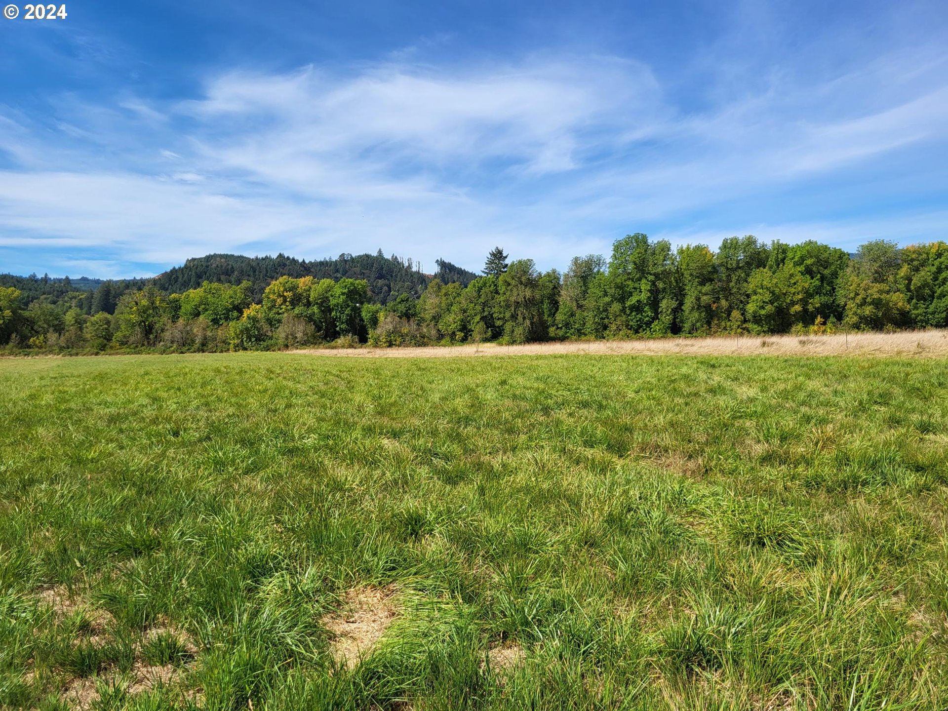 11830 Southwest Gopher Valley Road Sheridan, OR 97378 - Photo 7 of 41