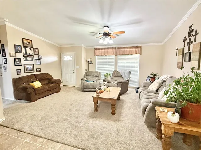 a living room with furniture flowerpot and a chandelier