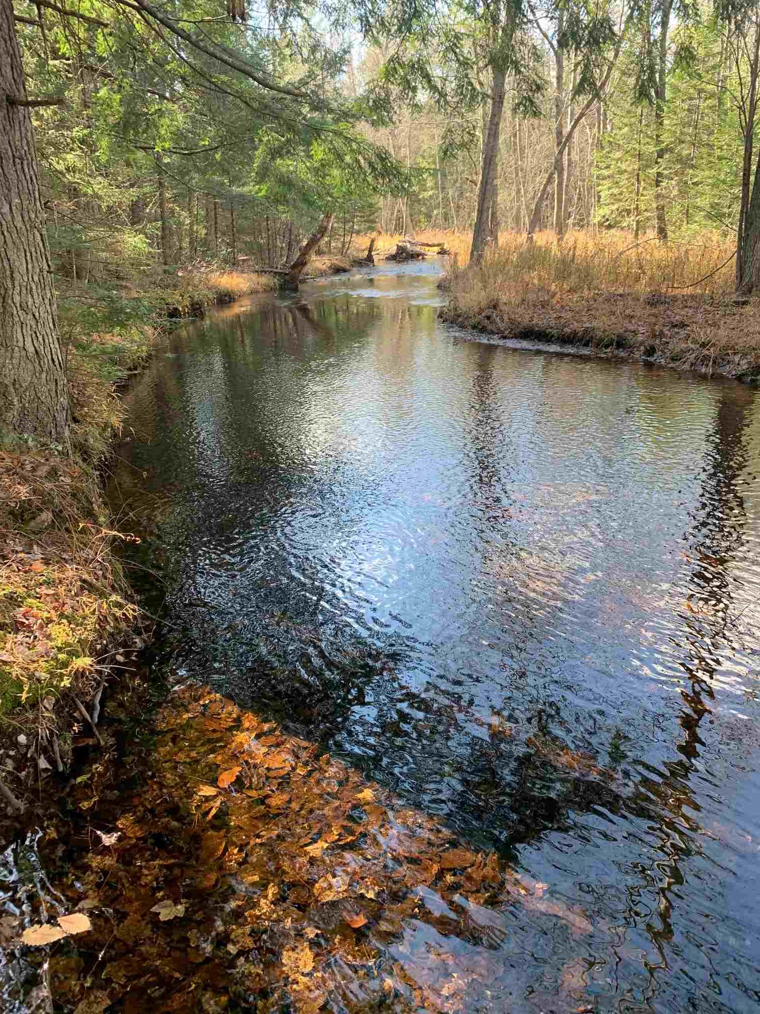 120 Pine Ridge Road Middleton, NH 03887 - Photo 22 of 28