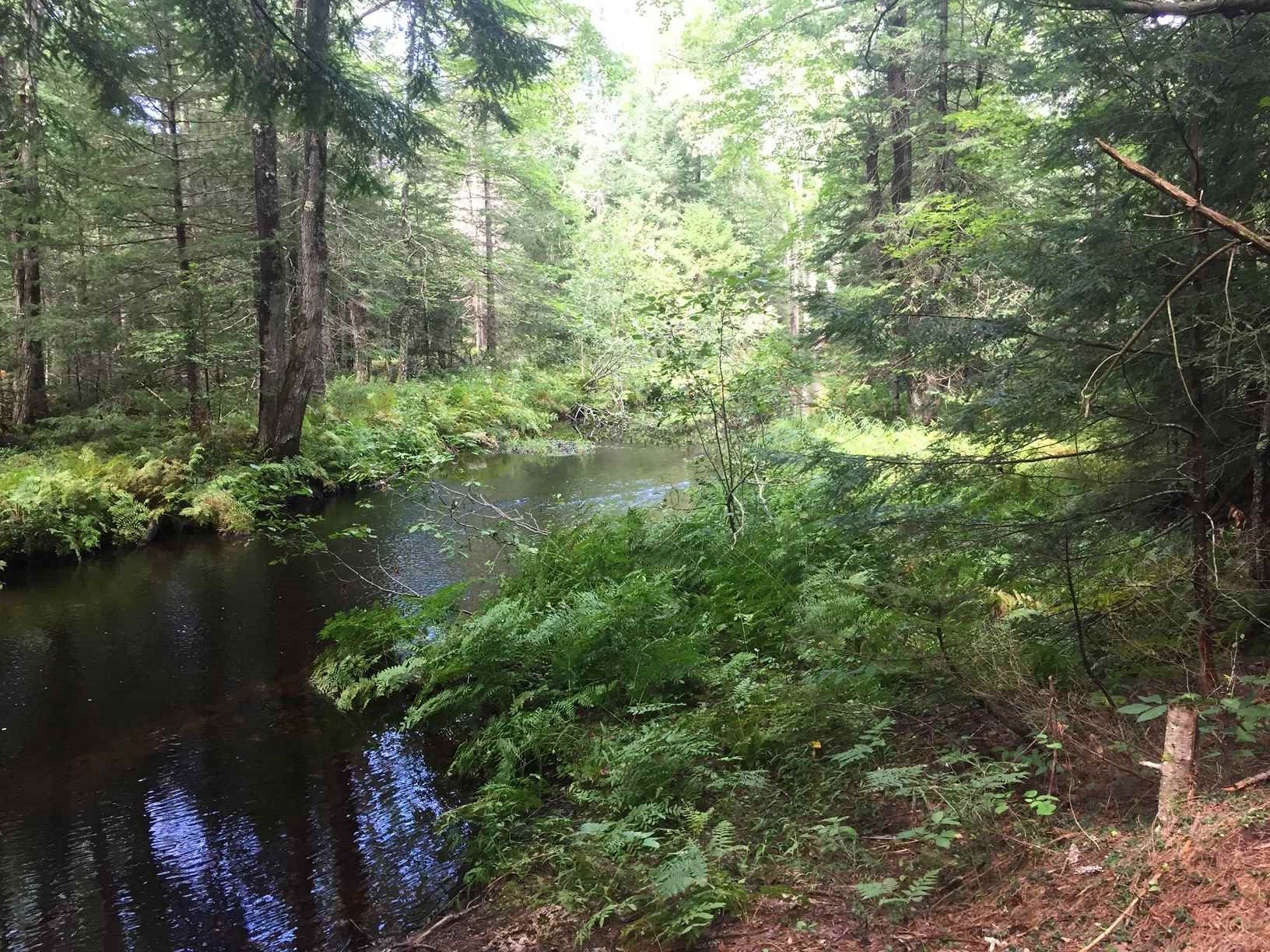 120 Pine Ridge Road Middleton, NH 03887 - Photo 23 of 28
