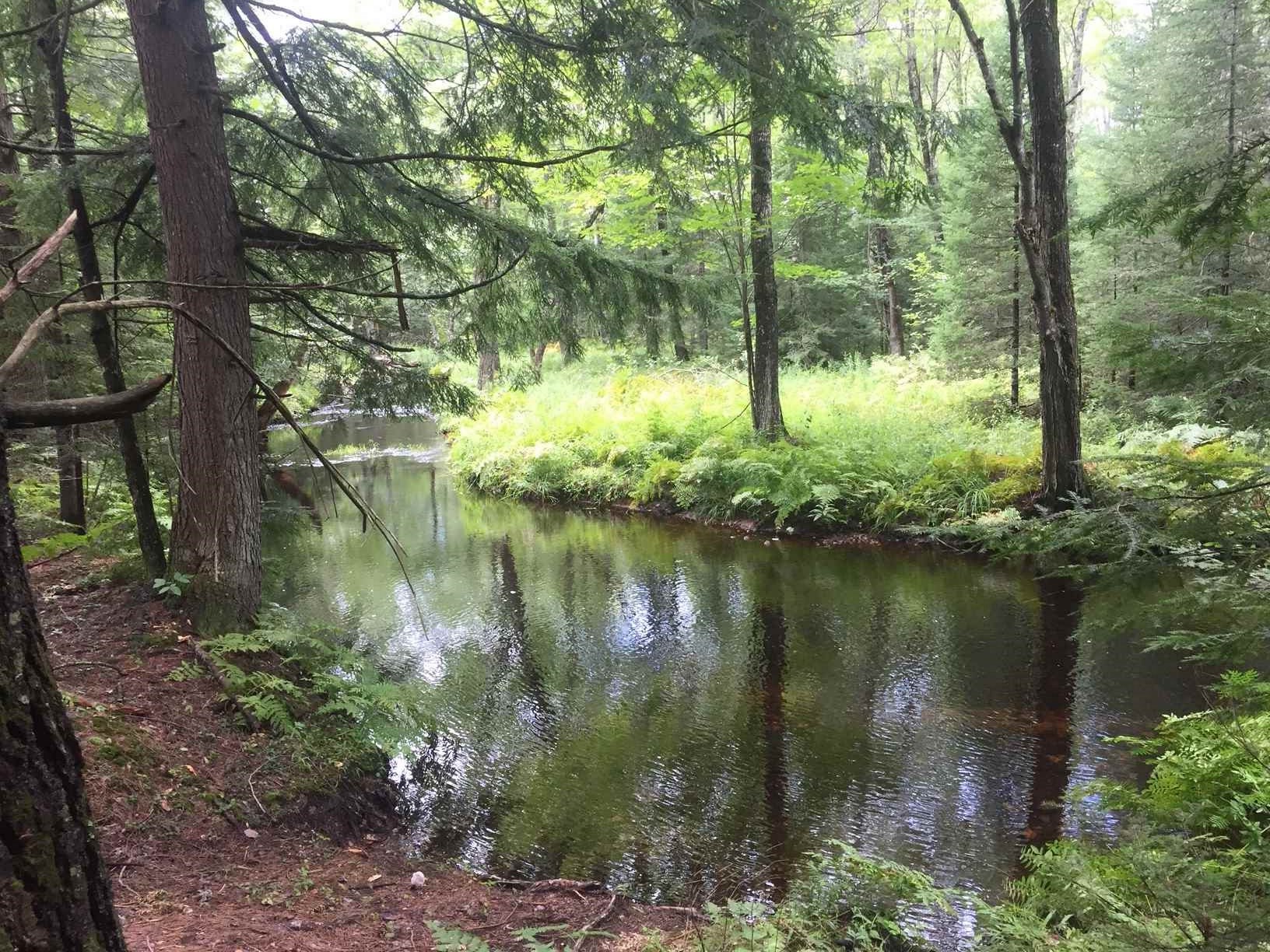 120 Pine Ridge Road Middleton, NH 03887 - Photo 24 of 28