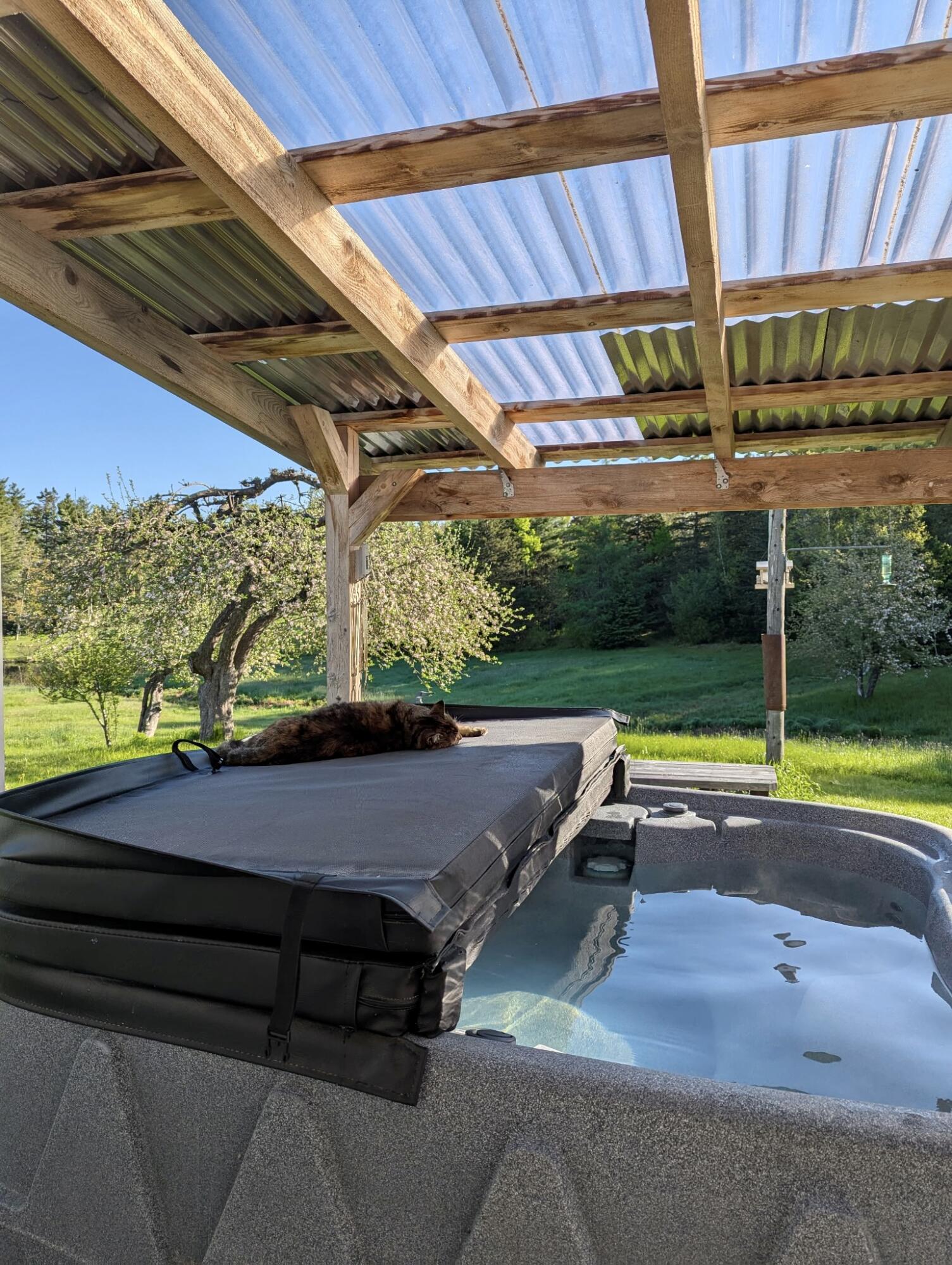 252 Ox Cove Road Pembroke, ME 04666 - Photo 11 of 73 5516420300151676893