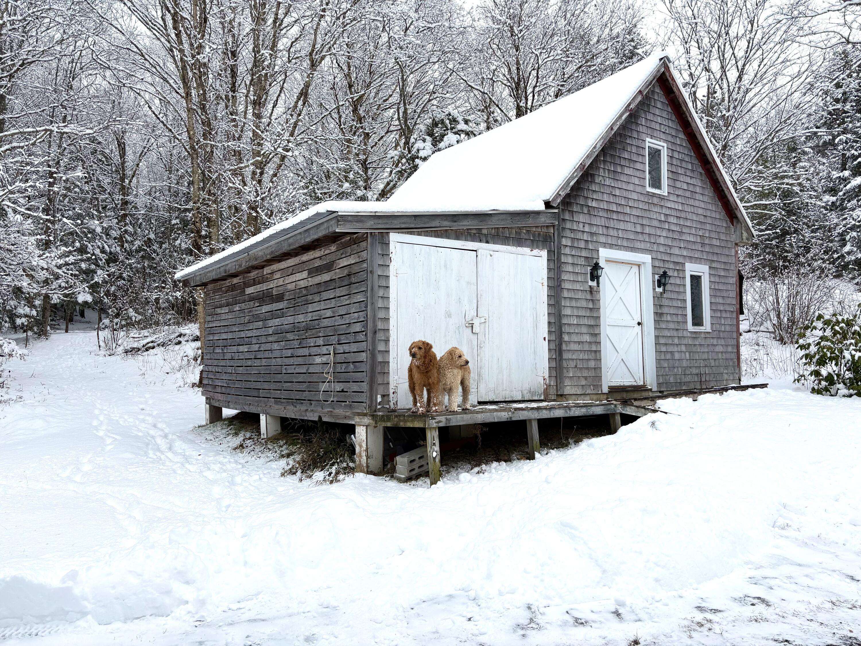 252 Ox Cove Road Pembroke, ME 04666 - Photo 12 of 73 IMG_1199