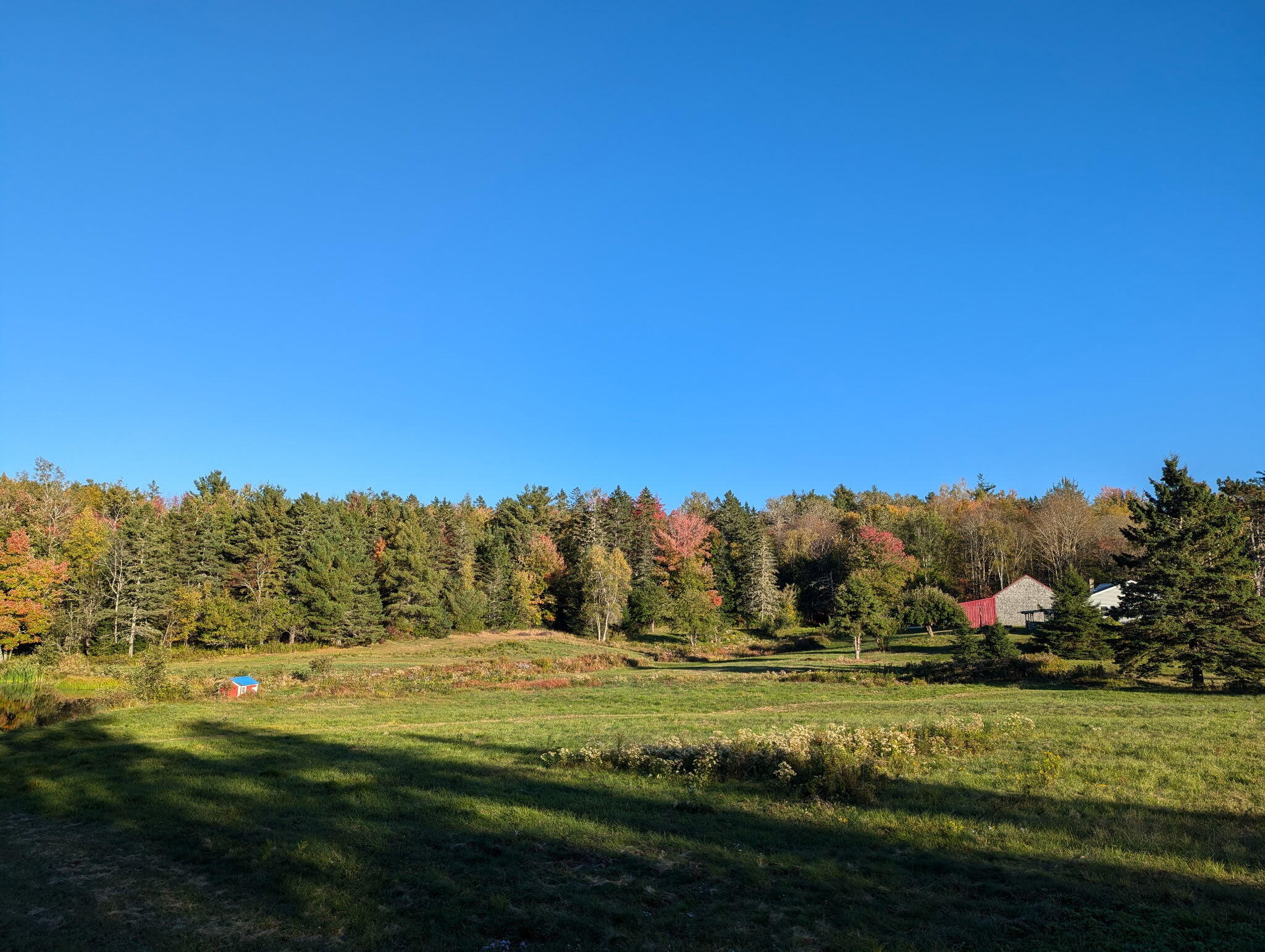 252 Ox Cove Road Pembroke, ME 04666 - Photo 14 of 73 2968179308318196780