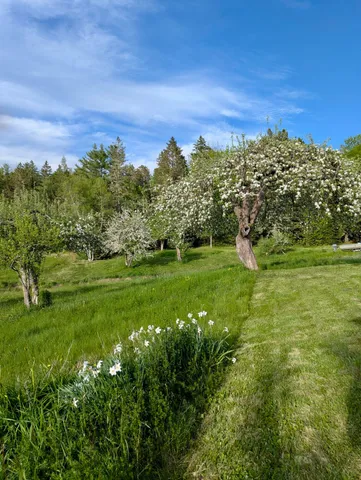 $279,000 | 252 Ox Cove Road, Pembroke, ME 04666