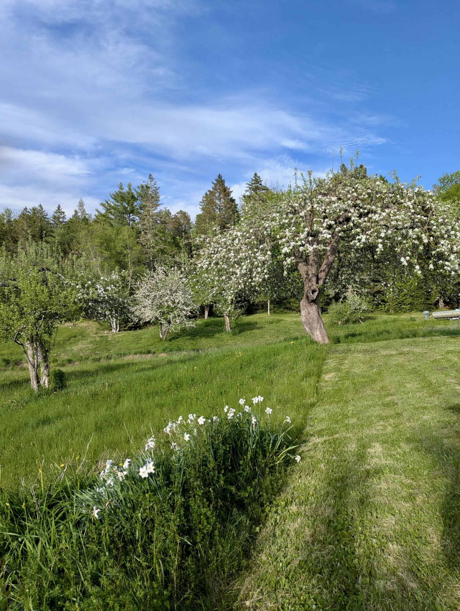 252 Ox Cove Road Pembroke, ME 04666 - Photo 15 of 73 6460396481254035602