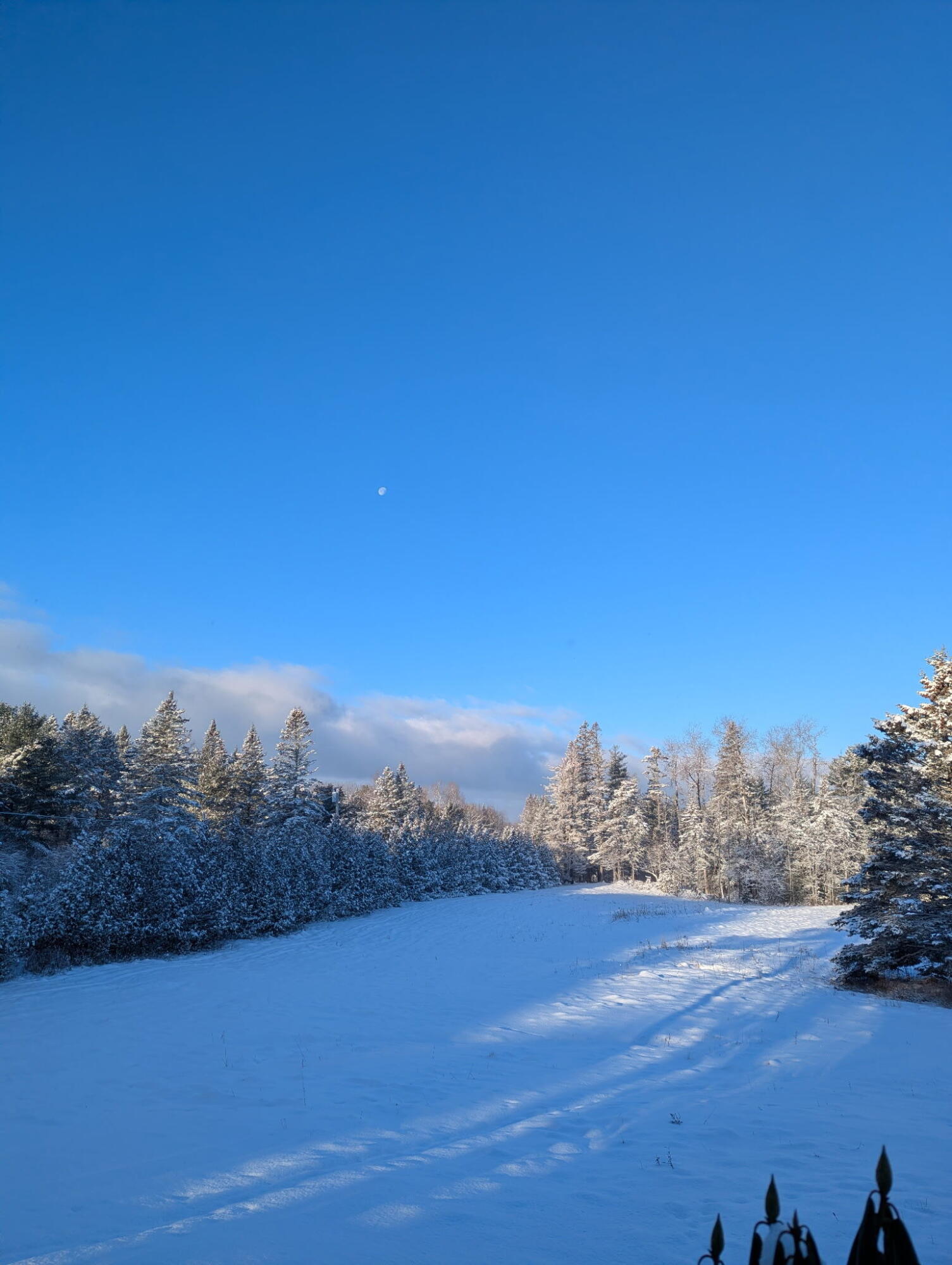 252 Ox Cove Road Pembroke, ME 04666 - Photo 16 of 73 4441624511712161016