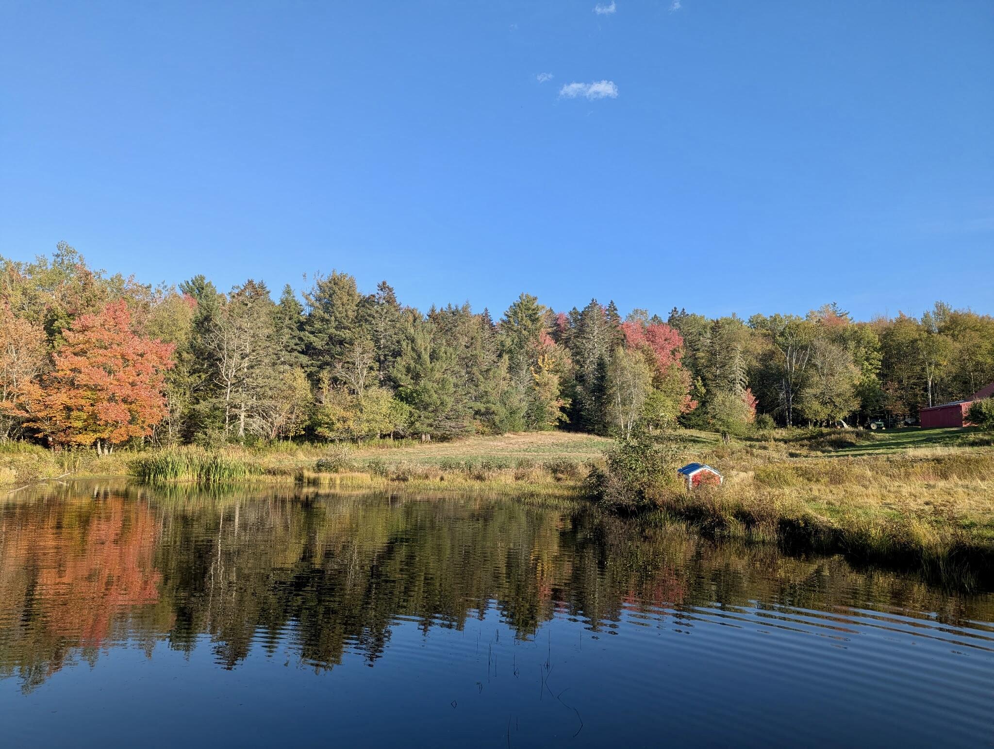 252 Ox Cove Road Pembroke, ME 04666 - Photo 17 of 73 767837970071547070