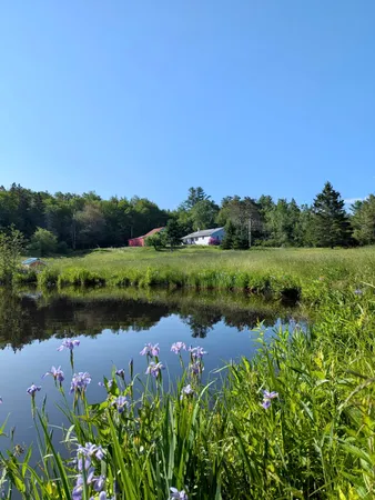 $280,000 | 252 Ox Cove Road, Pembroke, ME 04666