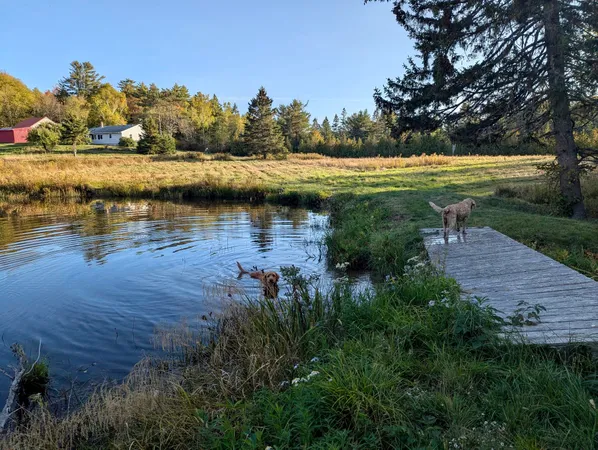 $280,000 | 252 Ox Cove Road, Pembroke, ME 04666