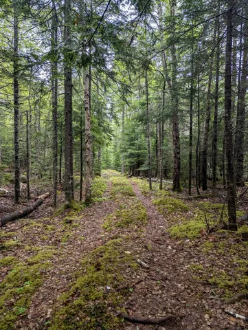 $279,000 | 252 Ox Cove Road, Pembroke, ME 04666