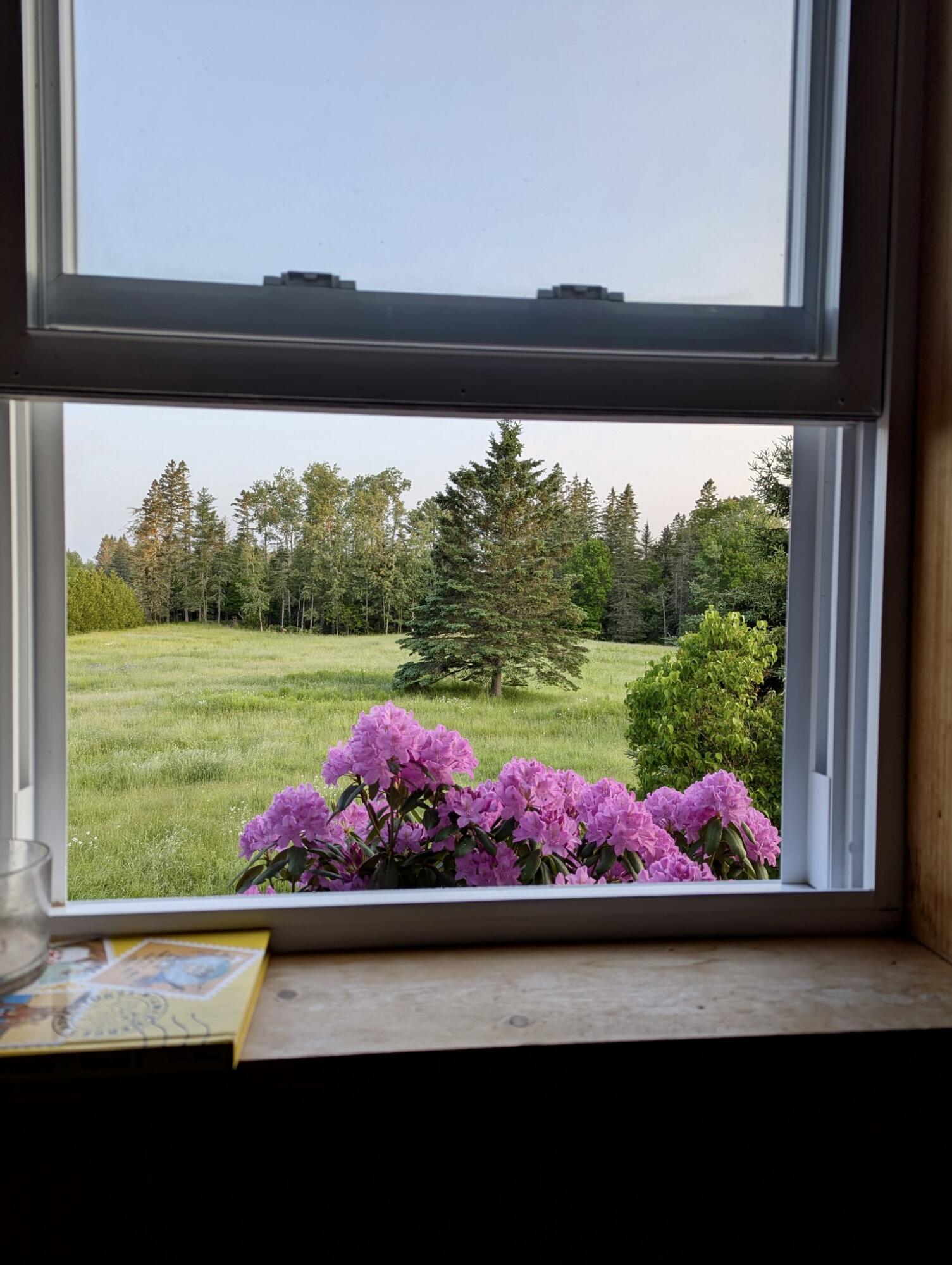 252 Ox Cove Road Pembroke, ME 04666 - Photo 23 of 73 6293725630353063029