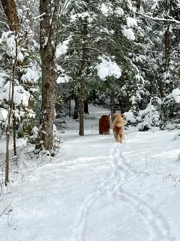 $279,000 | 252 Ox Cove Road, Pembroke, ME 04666