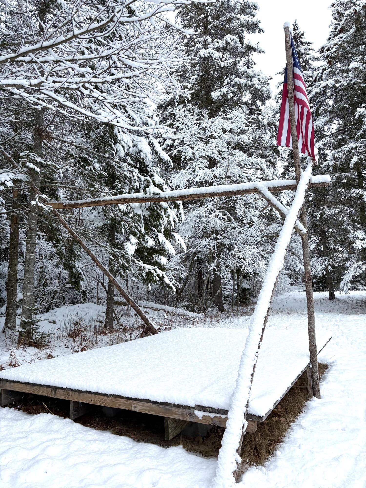 252 Ox Cove Road Pembroke, ME 04666 - Photo 54 of 73 IMG_1194