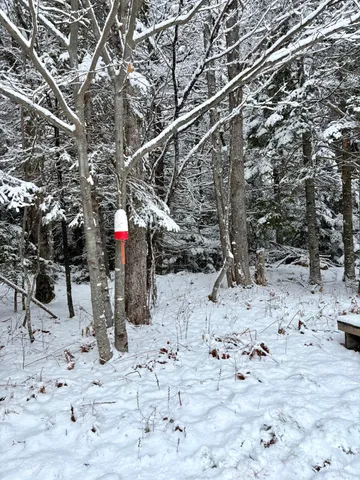 $279,000 | 252 Ox Cove Road, Pembroke, ME 04666