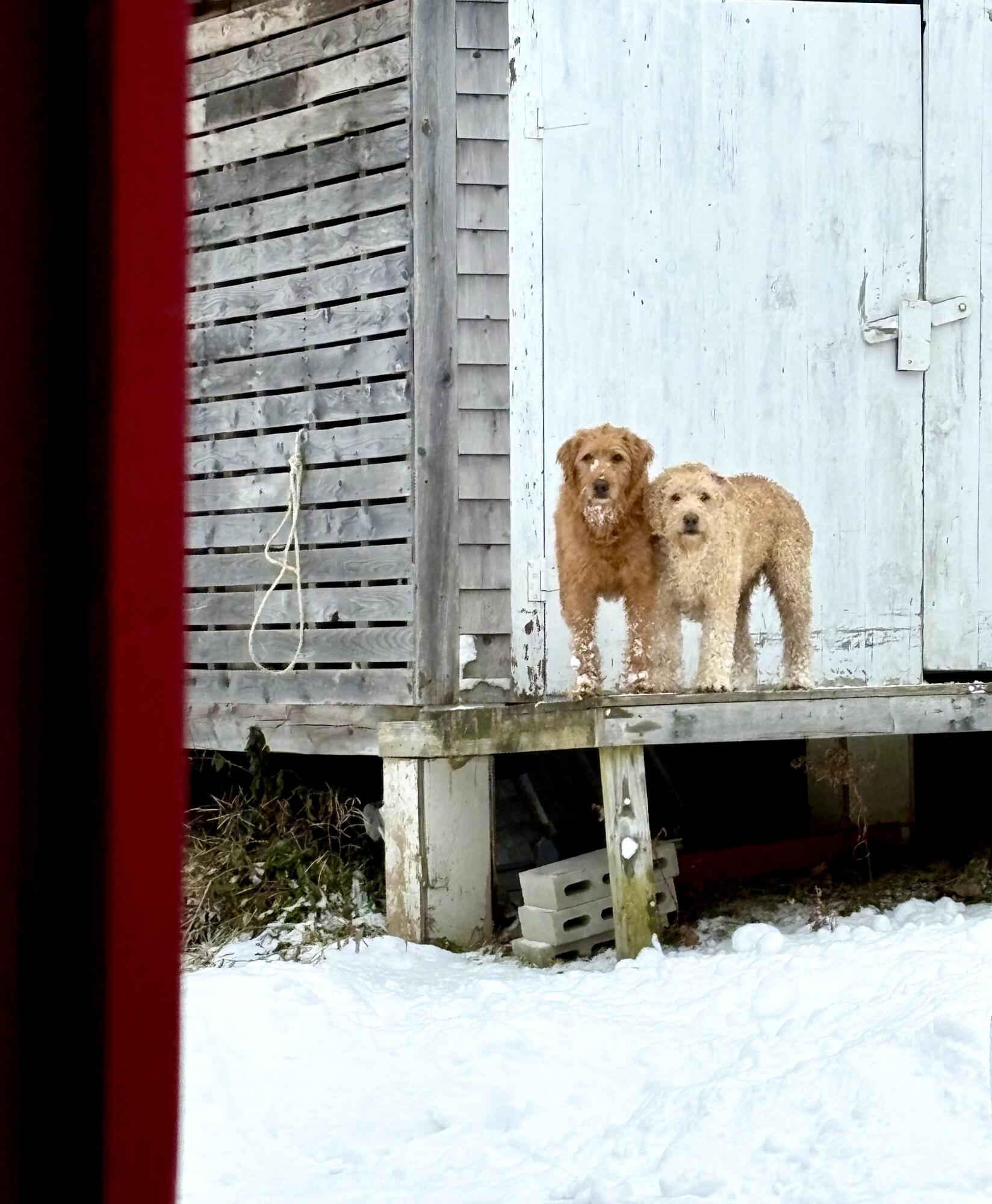 252 Ox Cove Road Pembroke, ME 04666 - Photo 59 of 73 IMG_1201