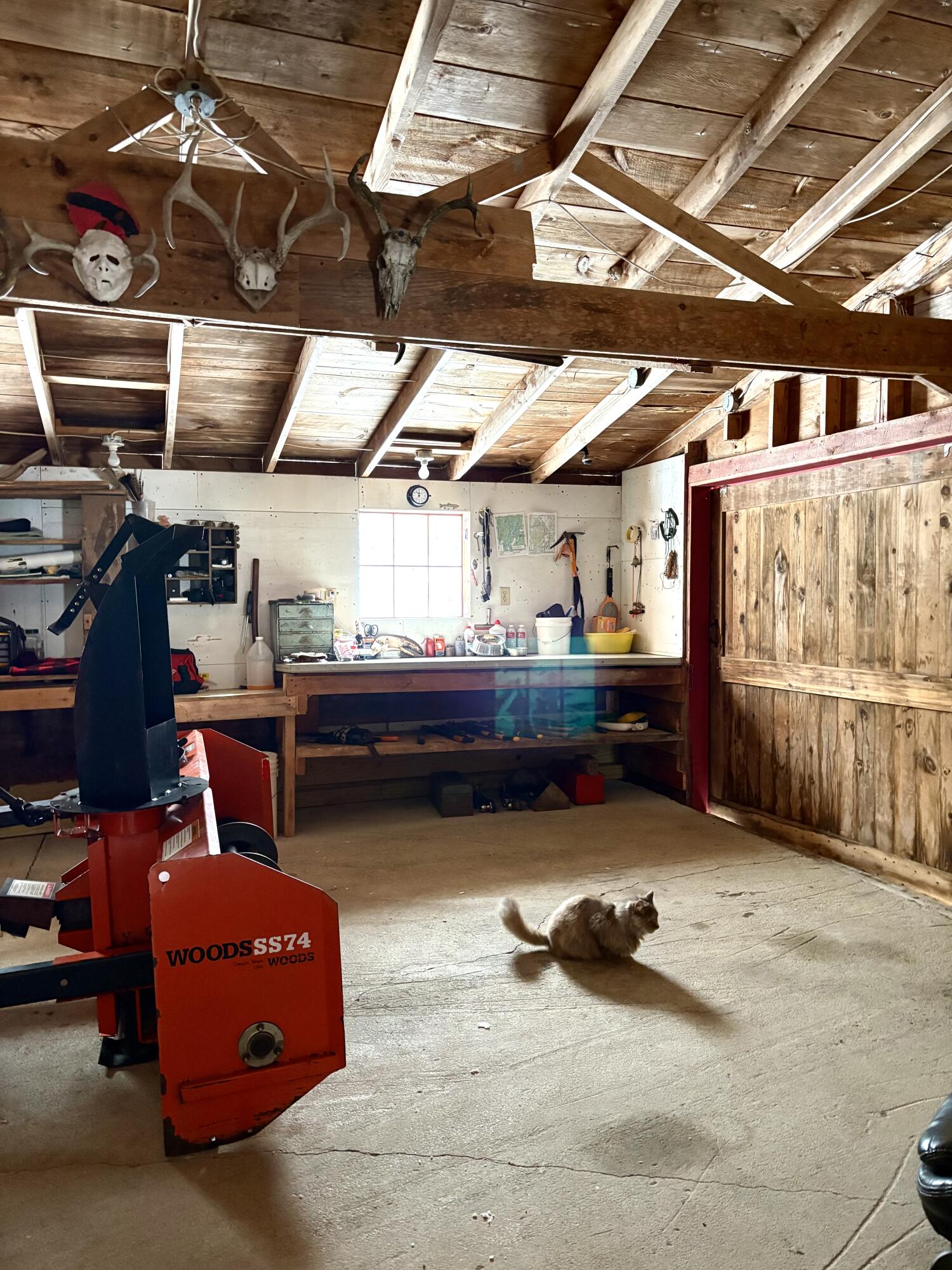 252 Ox Cove Road Pembroke, ME 04666 - Photo 6 of 73 IMG_1188