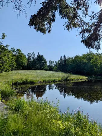 $280,000 | 252 Ox Cove Road, Pembroke, ME 04666