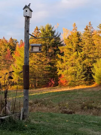 $280,000 | 252 Ox Cove Road, Pembroke, ME 04666