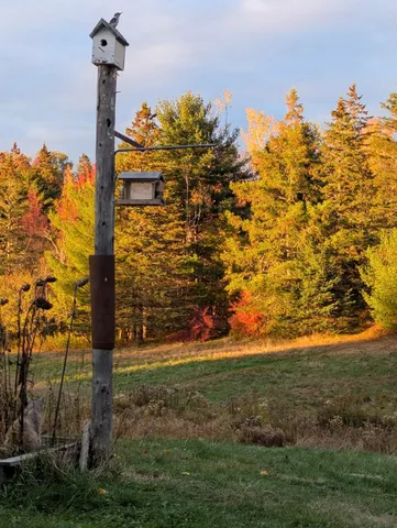 $279,000 | 252 Ox Cove Road, Pembroke, ME 04666