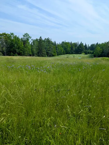 $279,000 | 252 Ox Cove Road, Pembroke, ME 04666