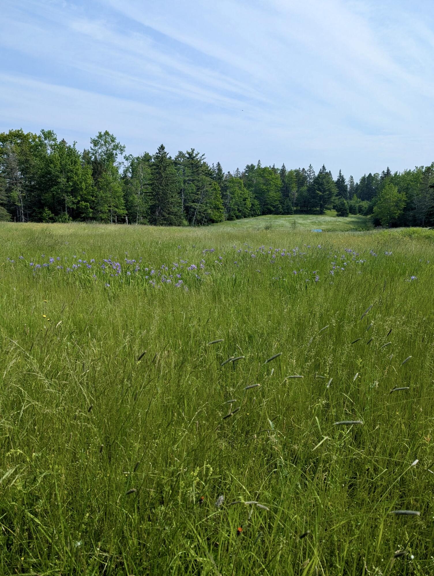 252 Ox Cove Road Pembroke, ME 04666 - Photo 65 of 73 2168112367681678578
