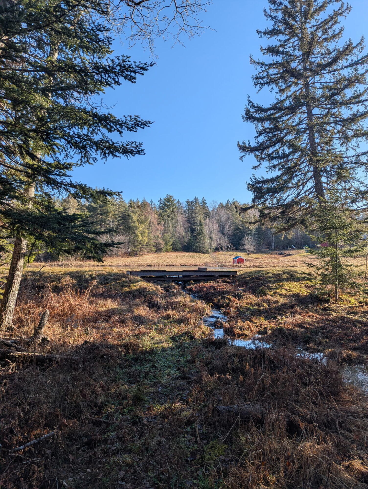 252 Ox Cove Road Pembroke, ME 04666 - Photo 67 of 73 1225374953254752237