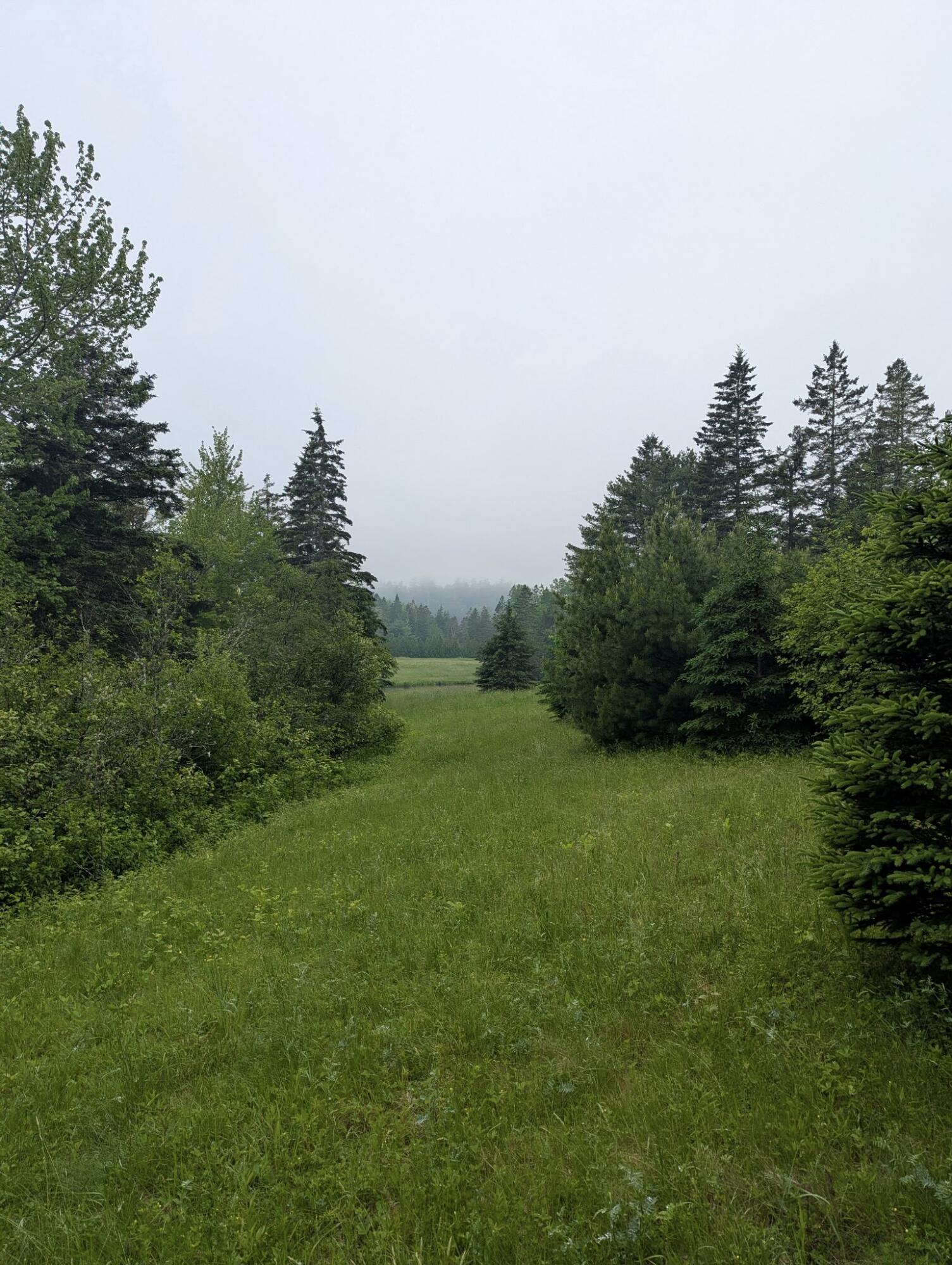 252 Ox Cove Road Pembroke, ME 04666 - Photo 68 of 73 7773680070692837492