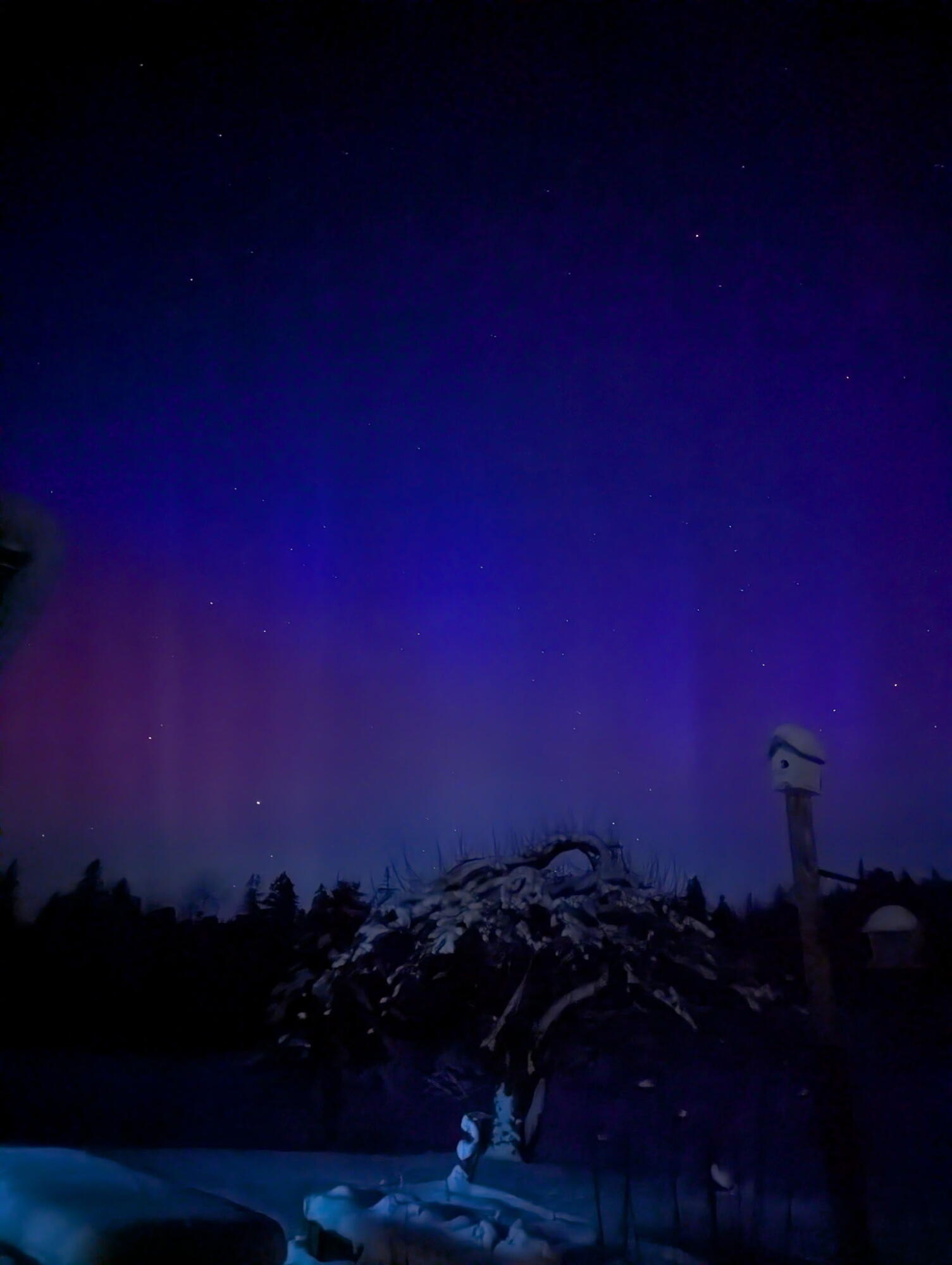 252 Ox Cove Road Pembroke, ME 04666 - Photo 72 of 73 589380475058905565