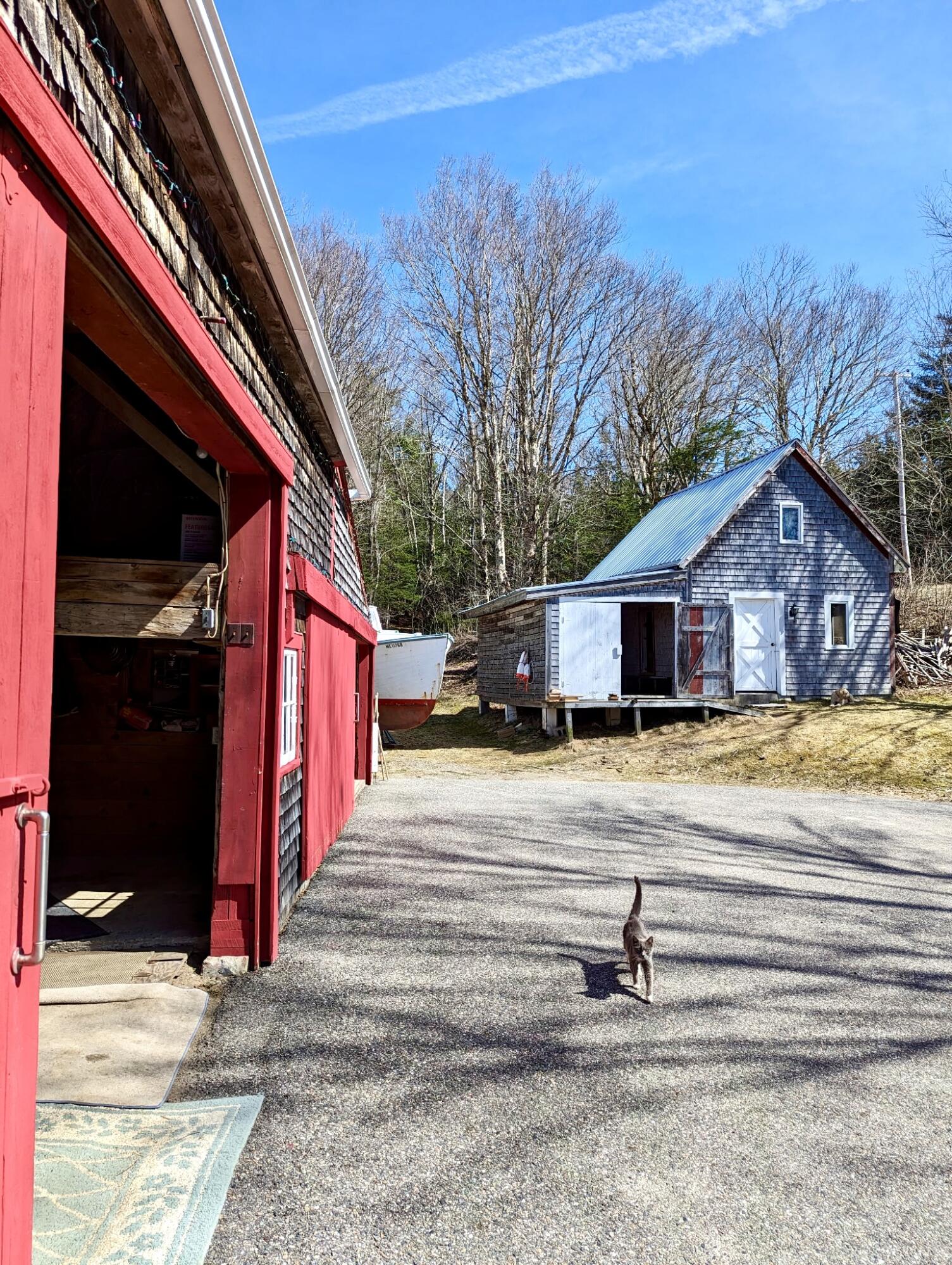 252 Ox Cove Road Pembroke, ME 04666 - Photo 8 of 73 1369721465875573797