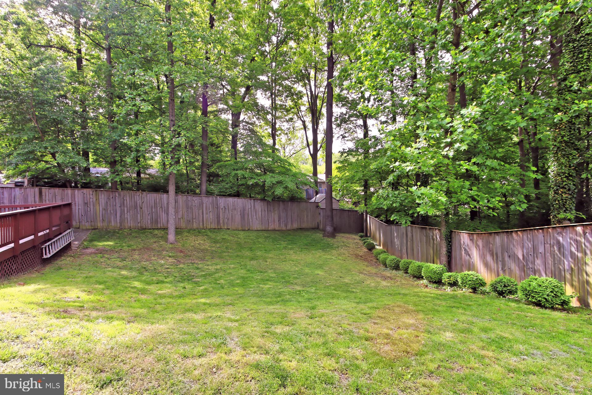 6317 Gormley Place Springfield, VA 22152 - Photo 44 of 49 Gallery Image 44