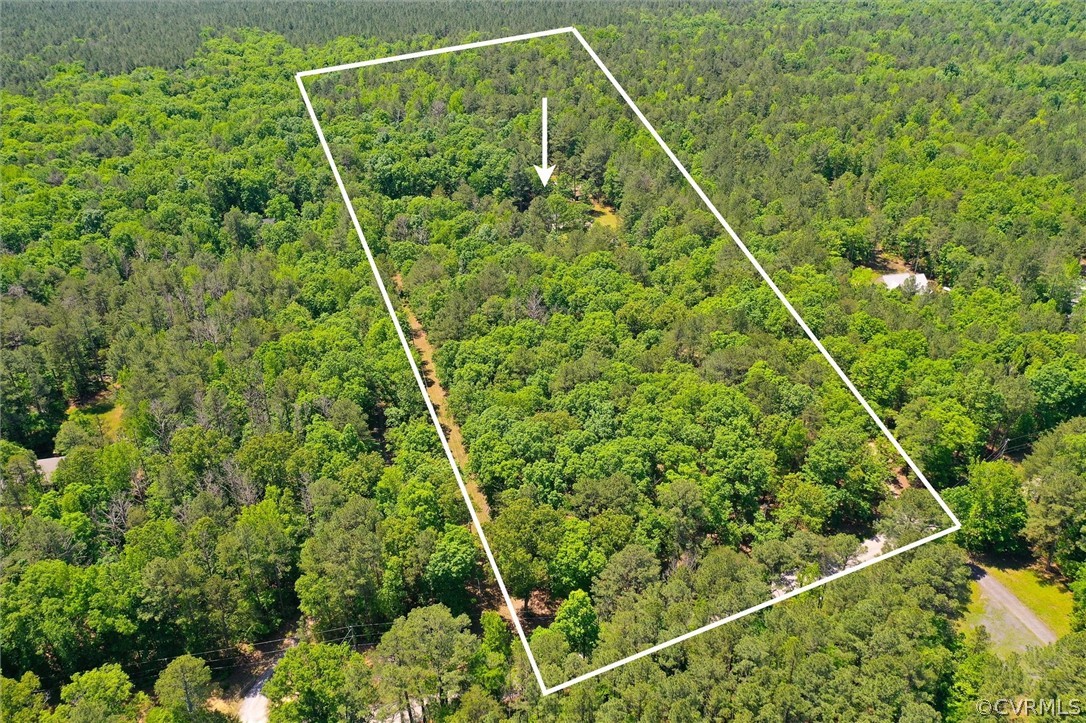 22601 Skinquarter Road Moseley, VA 23120 - Photo 2 of 50 10.55 acres total of land (two parcels conveying together)