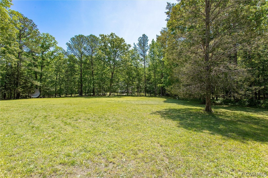 22601 Skinquarter Road Moseley, VA 23120 - Photo 37 of 50 a view of a yard with a trees