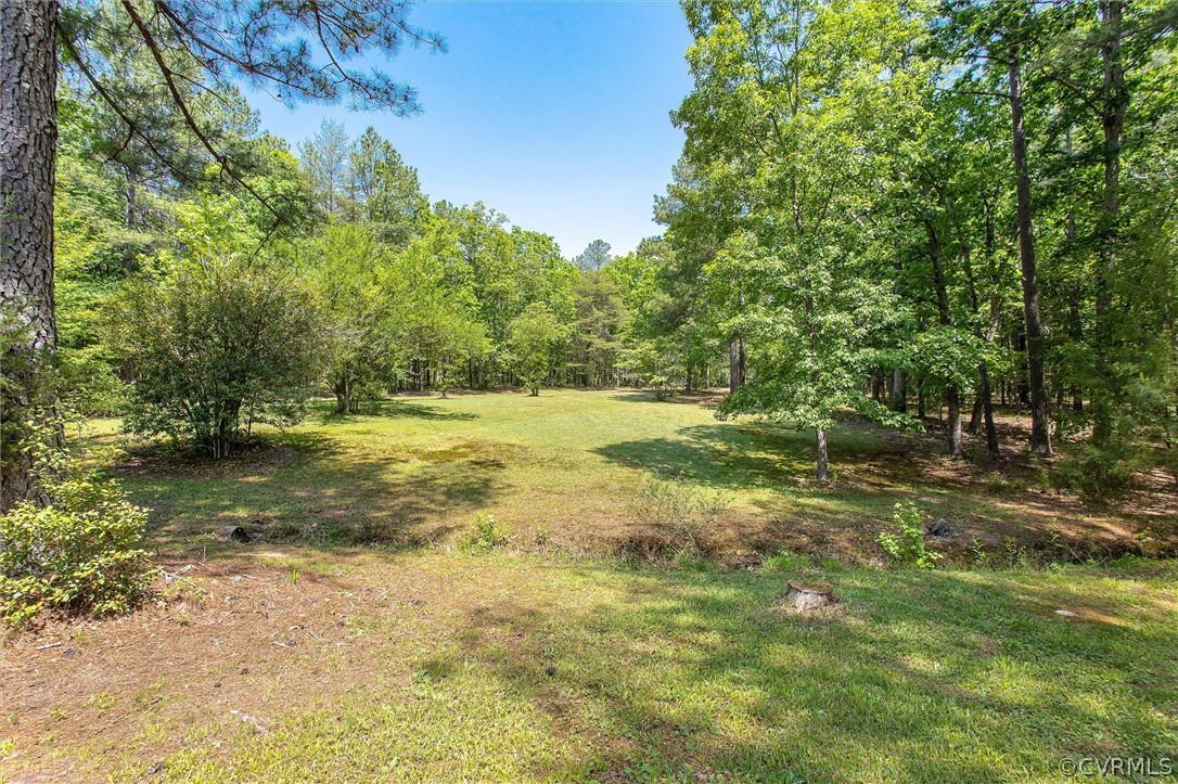 22601 Skinquarter Road Moseley, VA 23120 - Photo 4 of 50 a view of outdoor space with trees all around