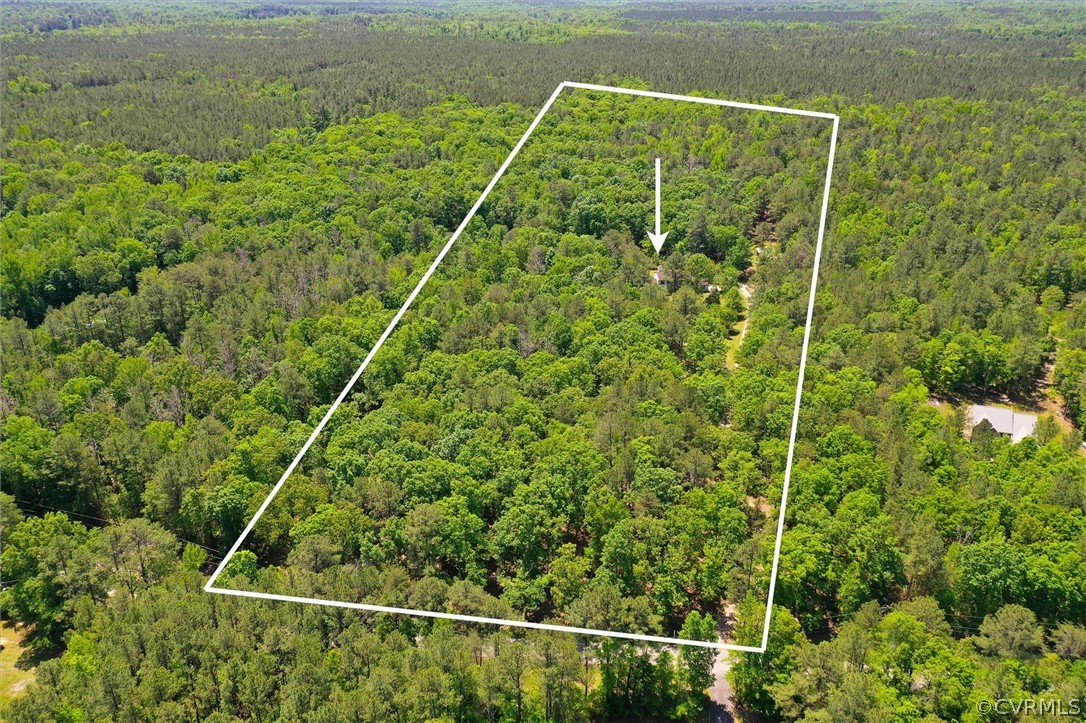 22601 Skinquarter Road Moseley, VA 23120 - Photo 48 of 50
