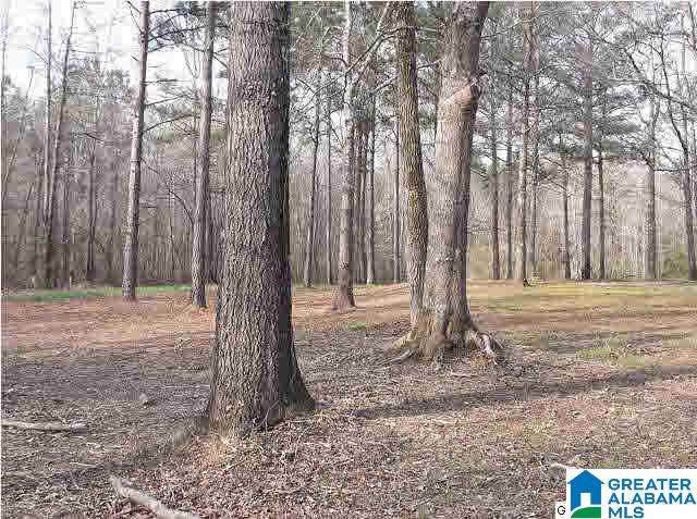 2580 Slasham Road Ashville, AL 35953 - Photo 13 of 25