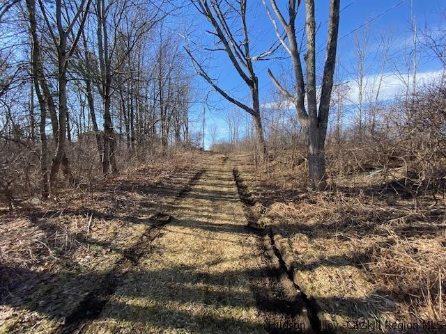 136 Brandon Road Esperance, NY 12066 - Photo 19 of 21 Photo 19