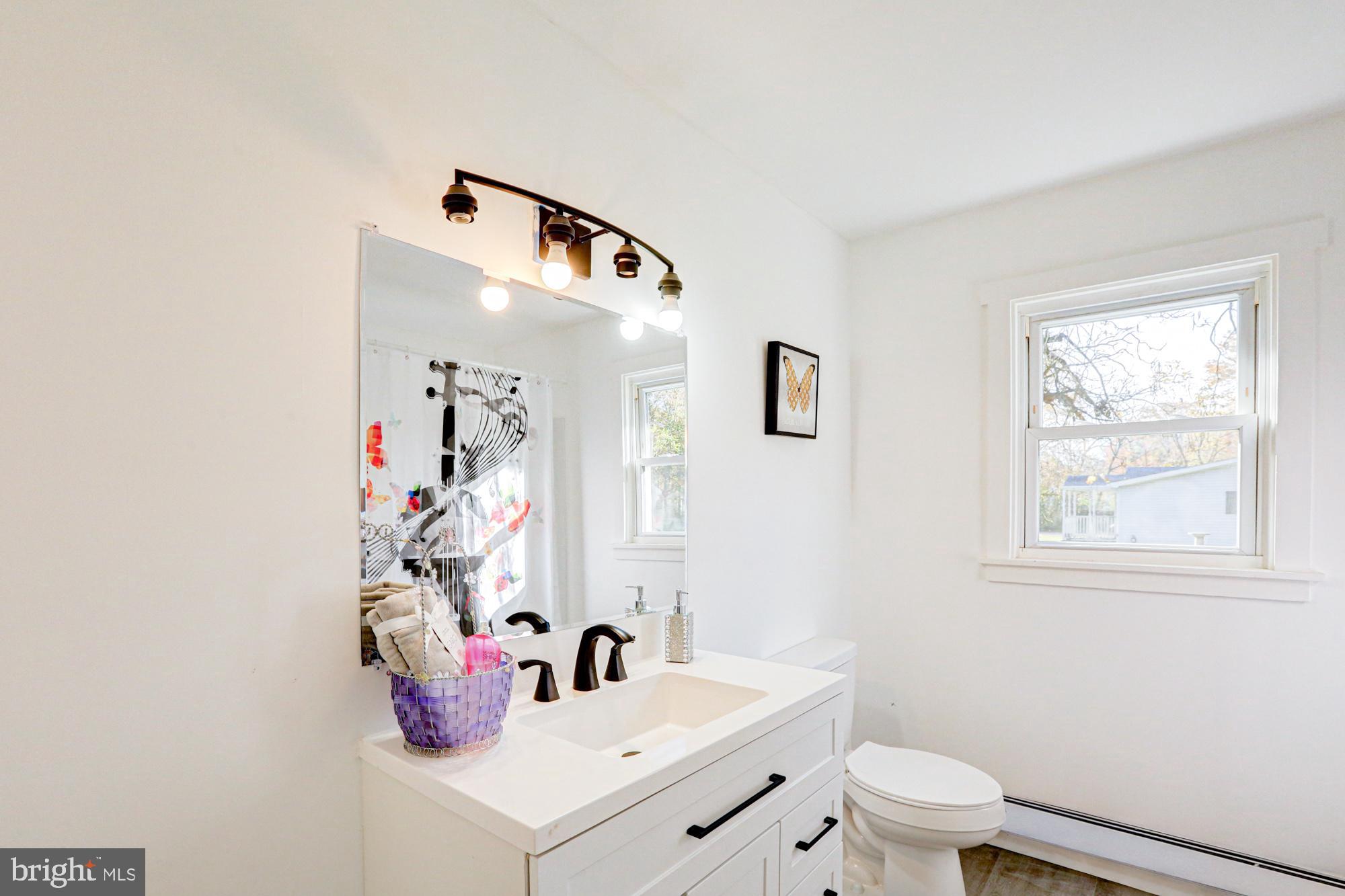 4841 Sandtown Road Felton, DE 19943 - Photo 48 of 70 a bathroom with a sink mirror and toilet