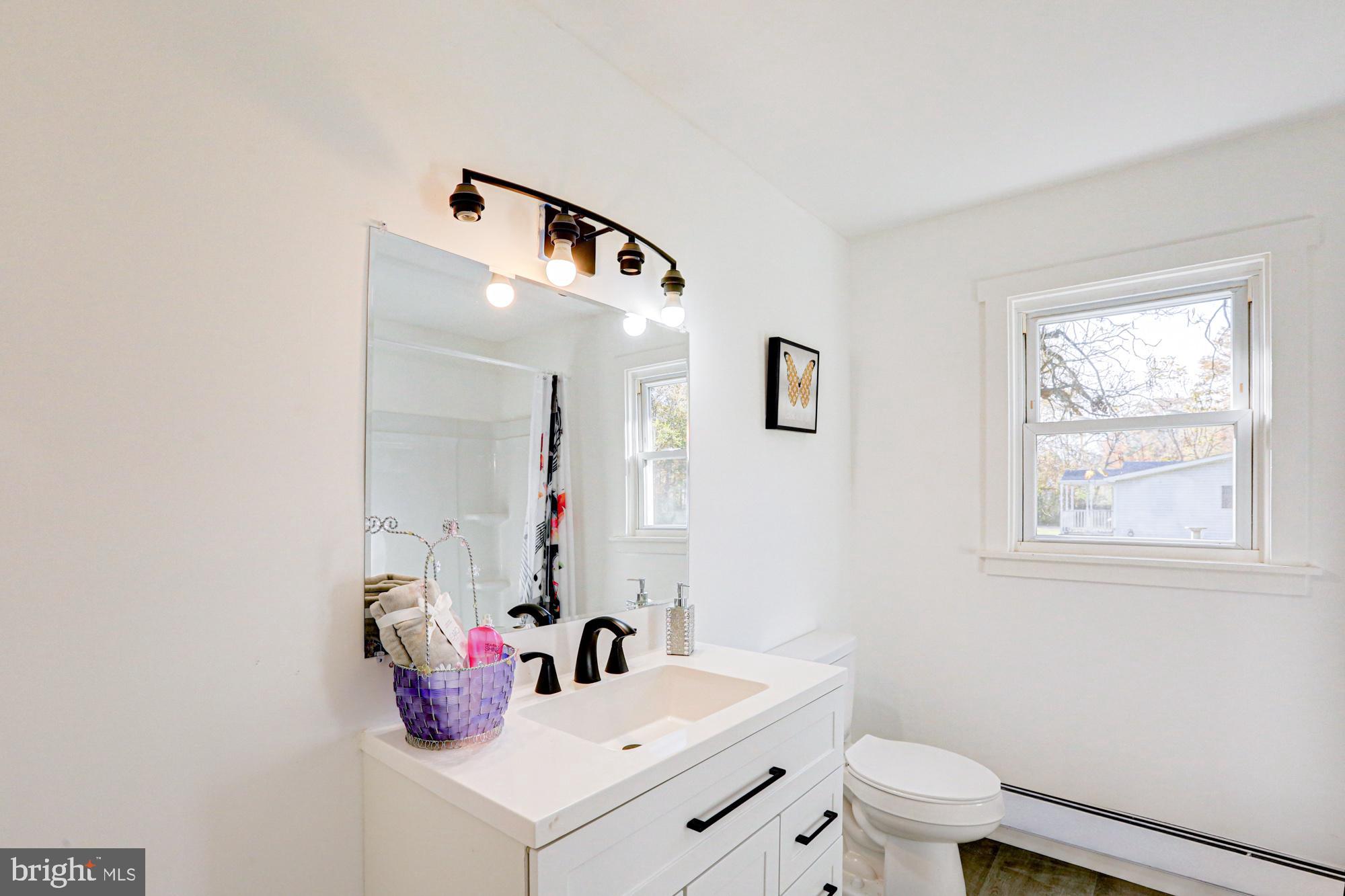 4841 Sandtown Road Felton, DE 19943 - Photo 49 of 70 Bright and airy modern bathroom retreat.