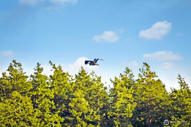 a view of a street with cars park