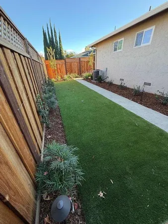 a view of a backyard with plants