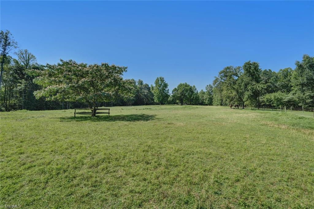 478 Poplar Lane Ruffin, NC 27326 - Photo 7 of 49 Gallery Image 7