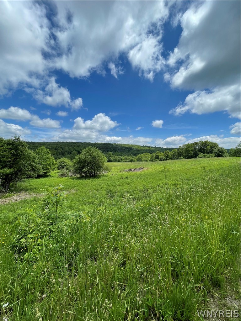 Lost Nations Road Freedom, NY 14065 - Photo 4 of 13