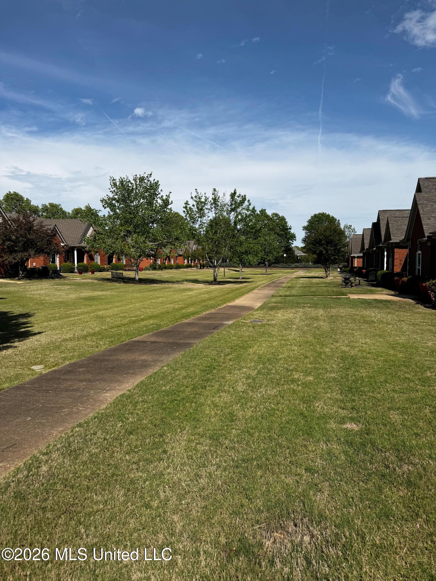 856 Cardinal Lane Hernando, MS 38632 - Photo 16 of 16 Front yard w/ walking path