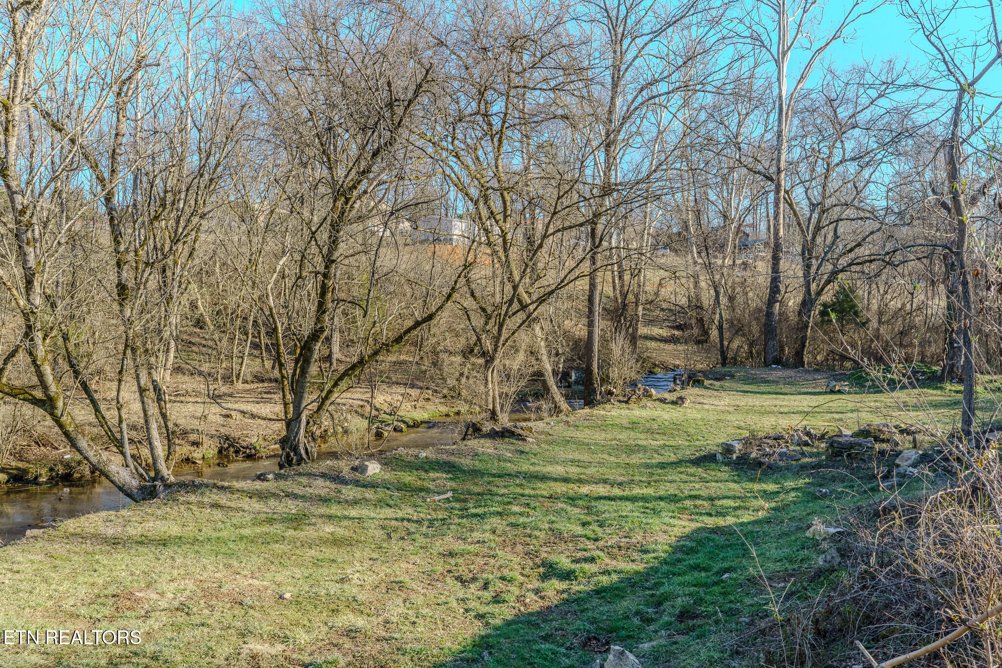 2636 Shields Ferry Road Morristown, TN 37814 - Photo 5 of 13 Creek w:level sides