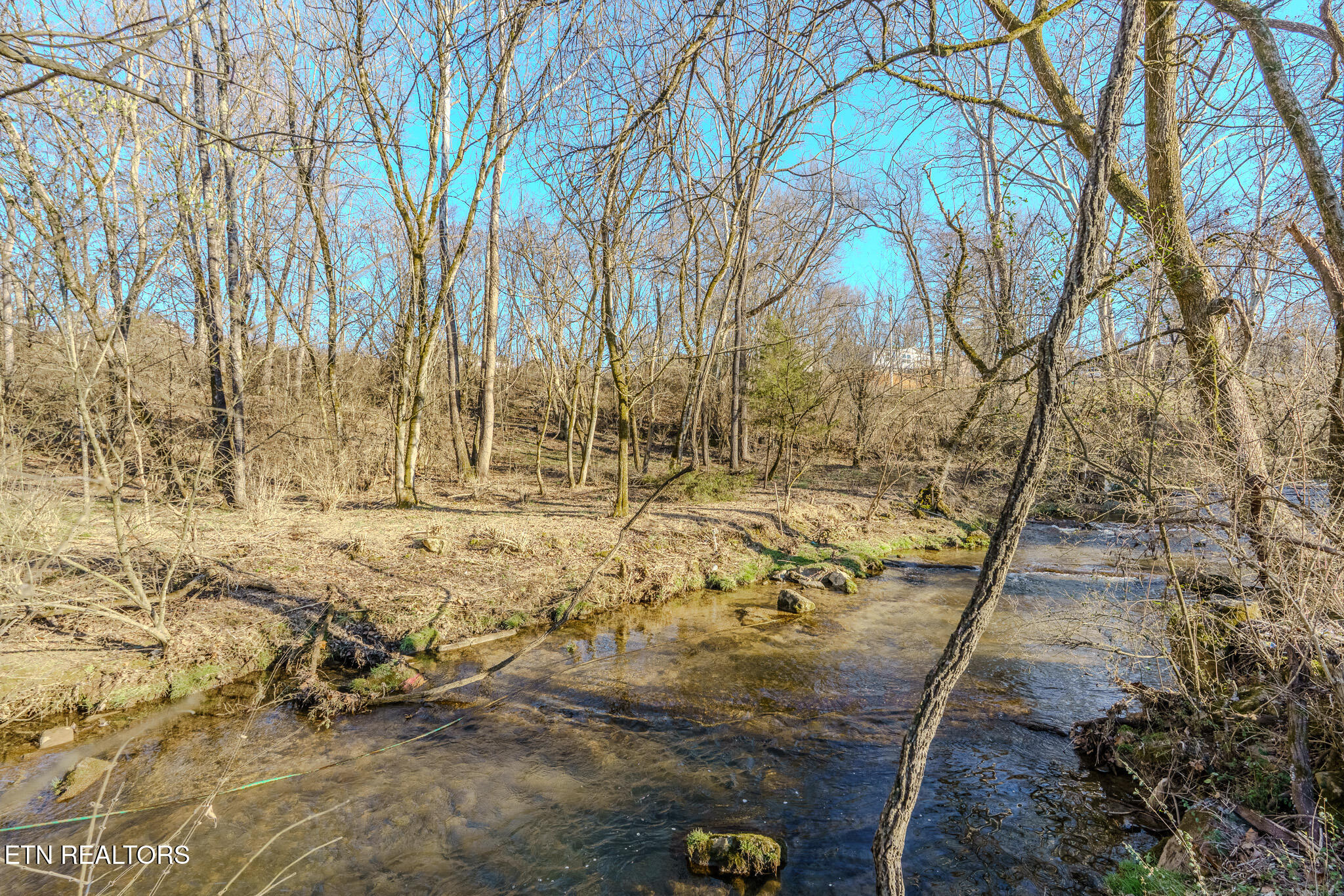 2636 Shields Ferry Road Morristown, TN 37814 - Photo 6 of 13 Creek2 w:Otherside Property