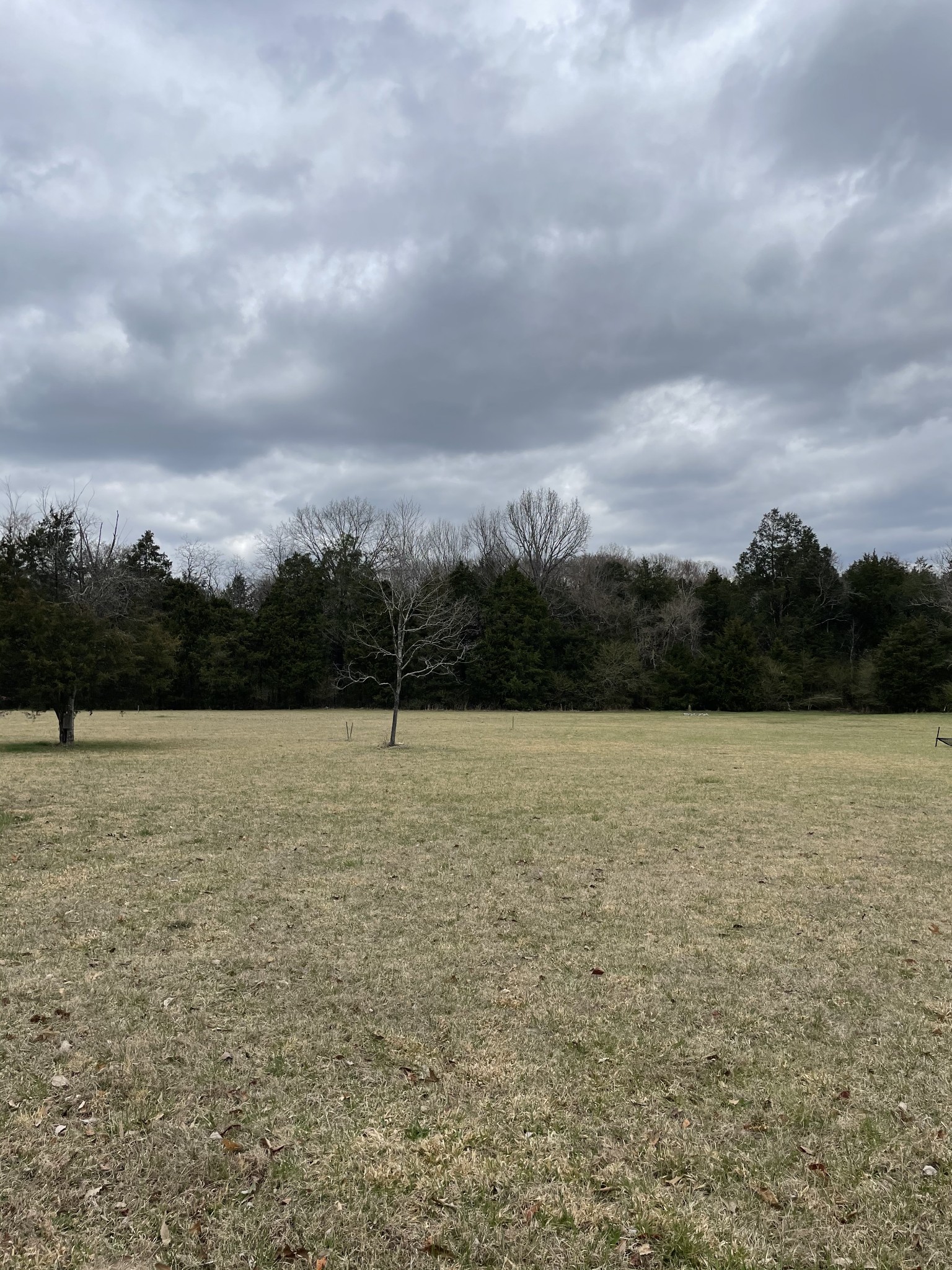 3892 Shores Road Murfreesboro, TN 37128 - Photo 1 of 14 Gallery Image 1
