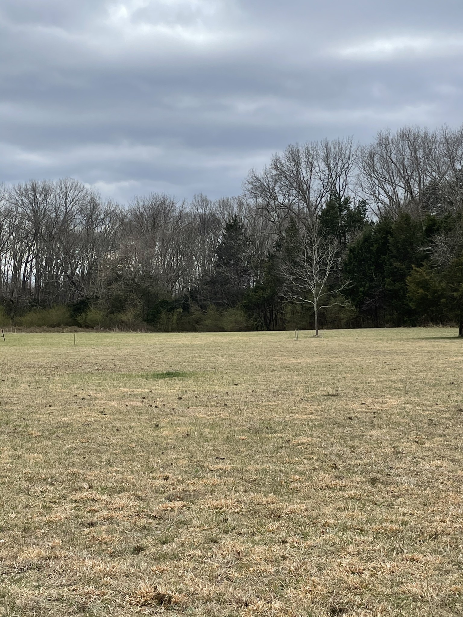 3892 Shores Road Murfreesboro, TN 37128 - Photo 6 of 14 Gallery Image 6