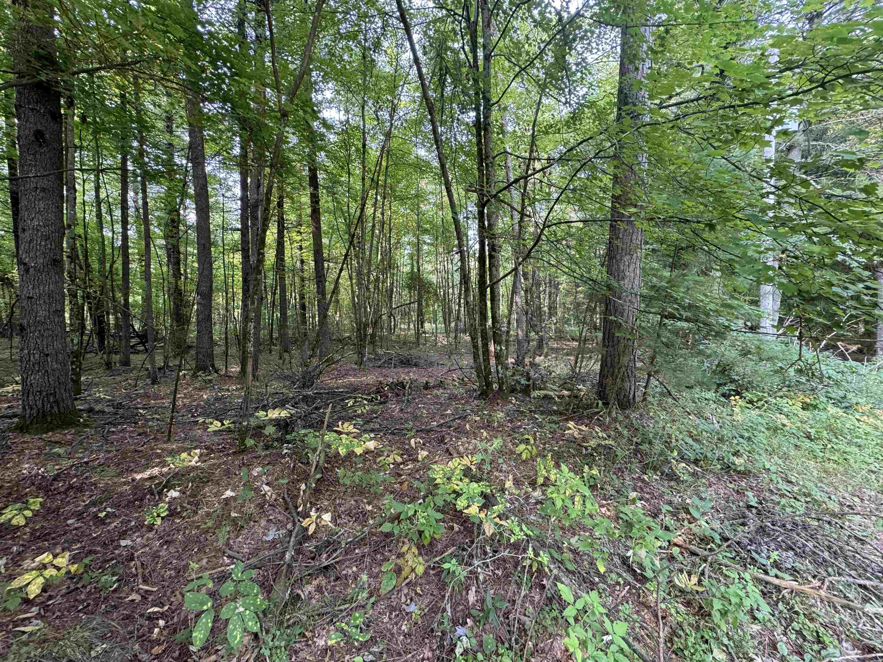 W2245 Otter Ponds Road Keshena, WI 54135 - Photo 1 of 1 Gallery Image 1